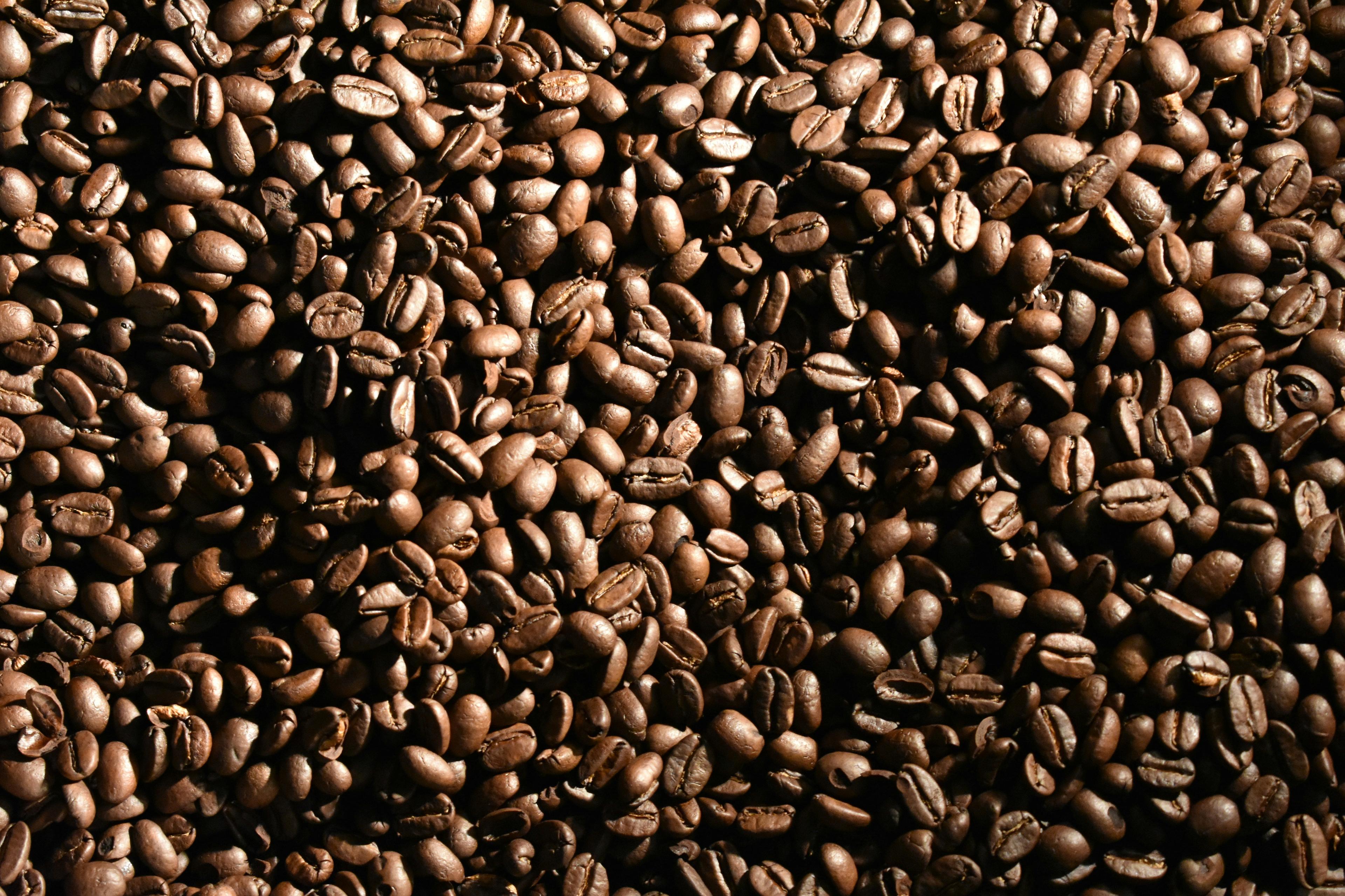 da6d013d-0f2a-4119-bb41-138bb0c32053.jpg